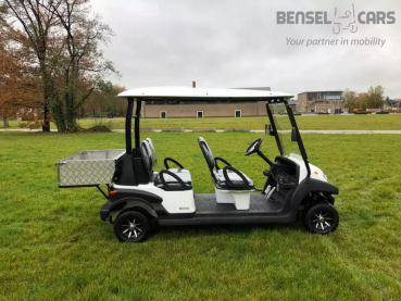BSN4C Elektro Golf Cart für 4 Personen mit Ladebox NEUFAHRZEUG Lithium Batterie 135Ah